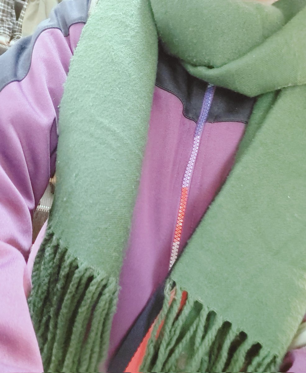 これはりたちにマフラーを借りて、強火月鯉推しカラーになっている時のかめ

みどりのネッグウォーマー買ったから明日からもこれ！