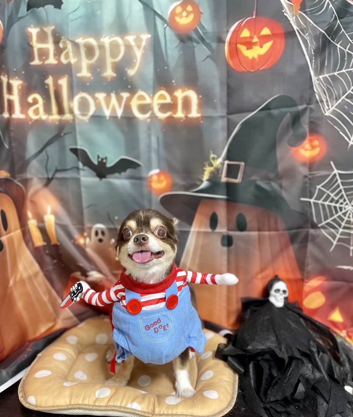 238 チャッキー ゴーストバスターズ きのこ ハロウィン 転写シート 11 チャッキー ゴーストバスターズ きのこ ハロウィン 転写
