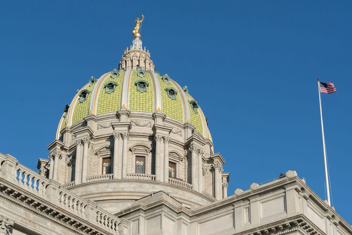 I will be testifying before a joint hearing of the PA Senate Education Committee and the Senate Communications and Technology Committee at 11:25 (starts at 10:30) Livestream: education.pasenategop.com/com-ed-100625/ and communications.pasenategop.com/com-ed-100625/
A video recording will be posted on the same website.