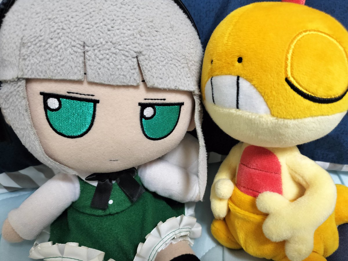 新入りをしっかりと面倒見る妖夢ちゃん

「ズルック」がファミリーに加わった！！

#ポケモンと生活
#妖夢
#ぬい撮り