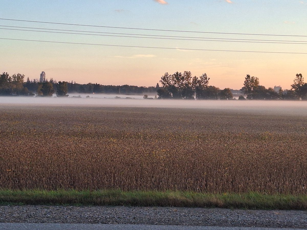#agrisagronomy  classic temperature inversion