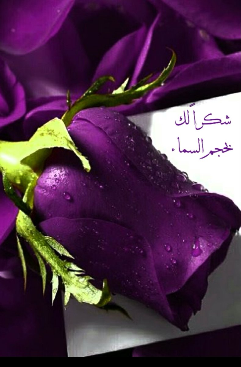 <a href="/A45i11/">‏الــريــم 🇸🇦</a>
