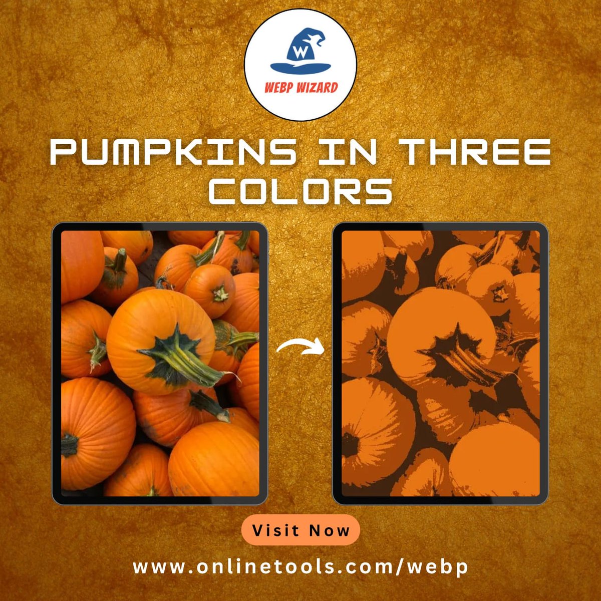 WebpWizard's tweet image. This example decreases the color count in a pumpkin WebP poster, limiting the colors in the output to just three shades.
Try our tool - onlinetools.com/webp/reduce-we…
#browserling #webp #imageoptimization #webpconverter #webpcompression #webpimage #onlinetools #webpcolors