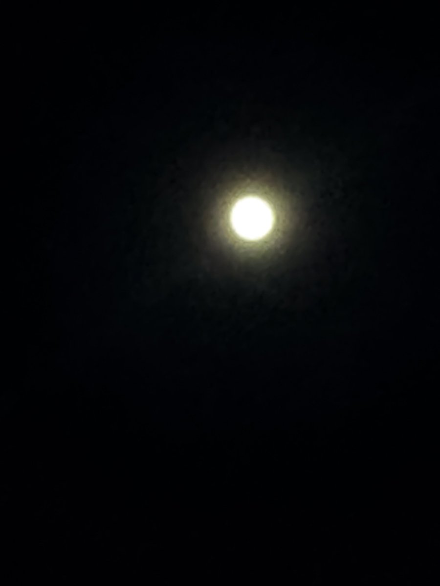 中秋の名月🌕