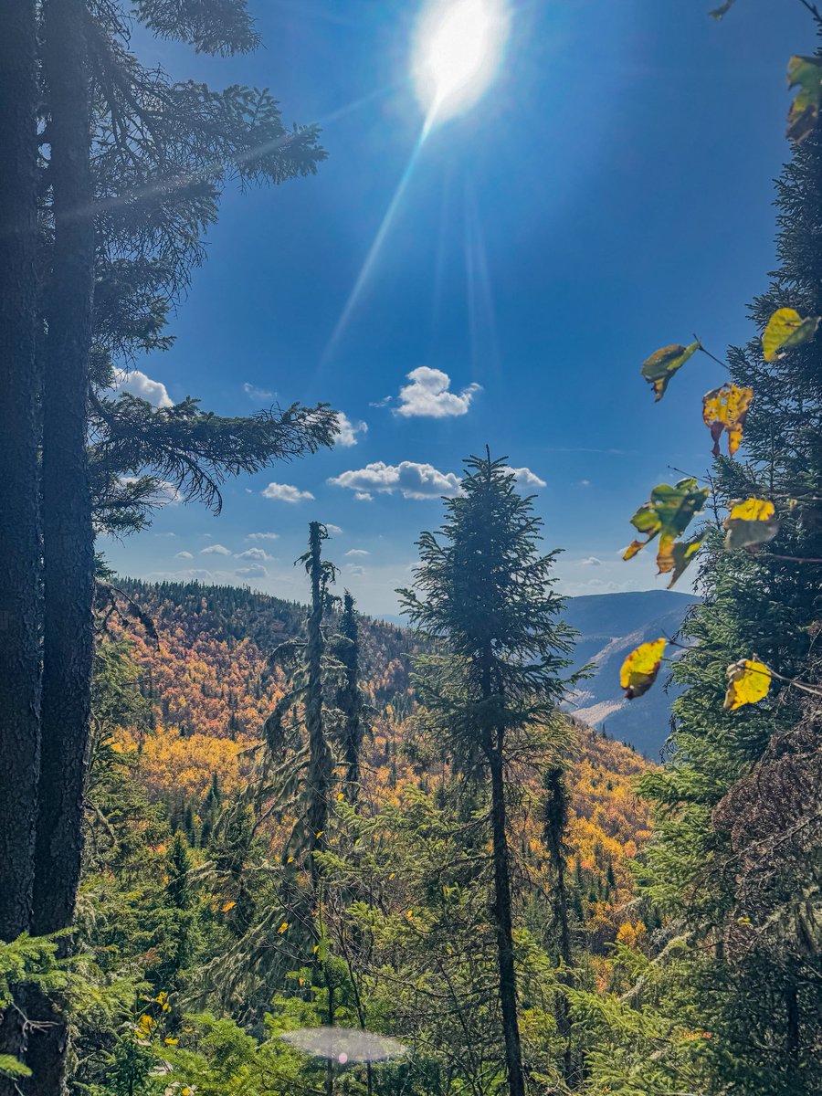 MejaneMgt's tweet photo. Vivre au Canada, c’est faire 1h de route pour tomber sur ce genre de vue 🤩🍁 https://t.co/nxktHlfo93
