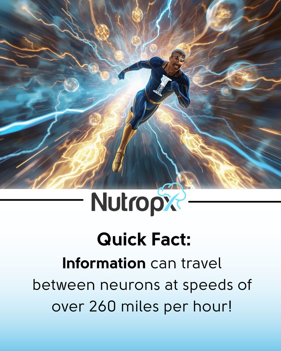 nutropx's tweet photo. This incredible speed is possible! Thanks to Myelin- a fatty sheath that insulates your nerve cells and allows electrical impulses to travel faster. Supporting the health of these myelinated pathways is key to maintaining quick thinking and sharp recall as you age.
Support the fundamental structures of your brain health. Discover the science behind our ingredients at https://t.co/g1OkitBhsV.
#Neuroscience #PeakPerformance #Myelin #BrainSpeed #Nutropx