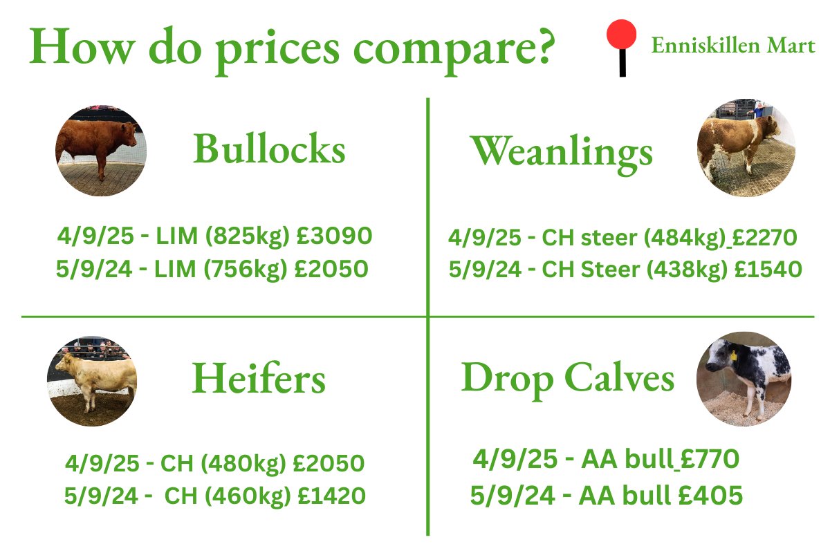 William Smith tweet media