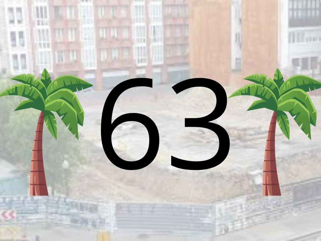 Días que le quedan al Obispado para que proceda a restituir la urbanización al estado original en el que se encontraba.