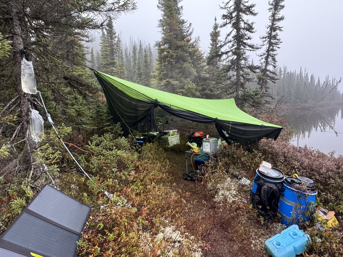 drcrater's tweet image. Camp life #fieldwork #camping #outdoors #eatwelllivewell