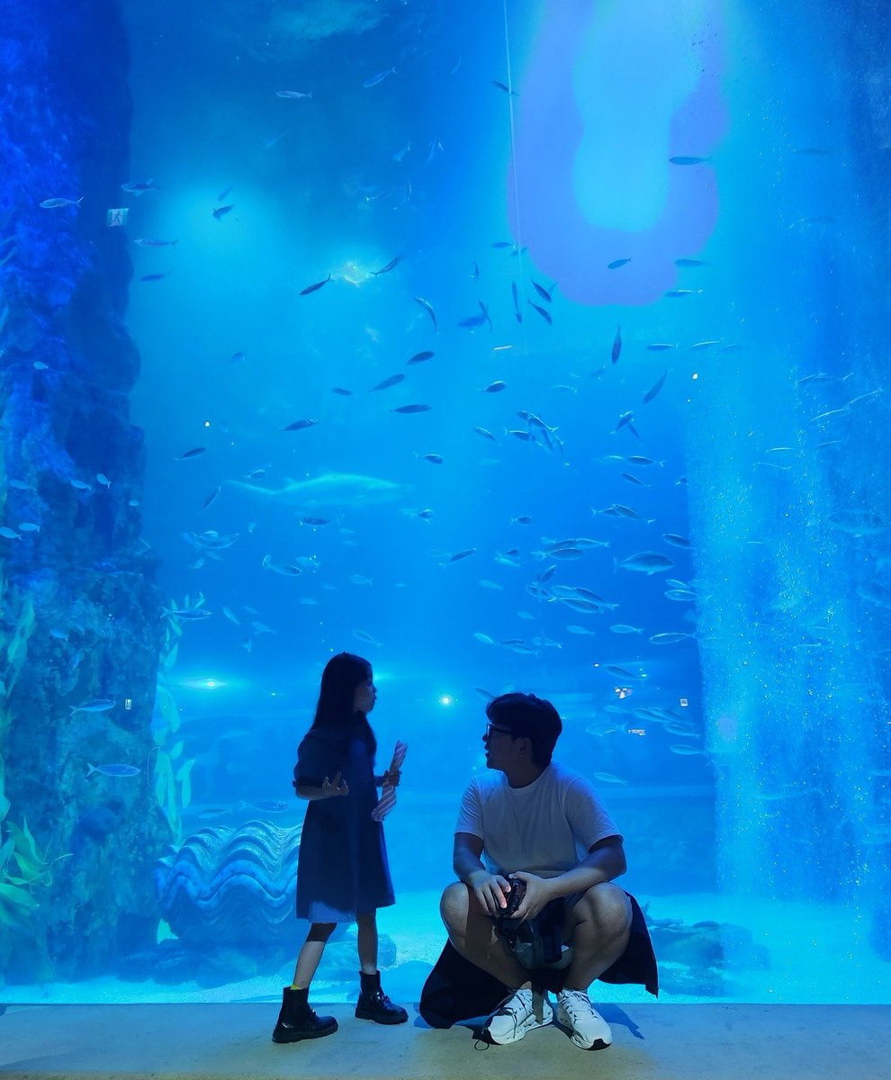 SHBC_TH's tweet image. แต่งทีหลังแต่ลูกโตไวกว่า😁 
พี่มินแวะมาแฮปปี้ชูซ็อกค่ะ
instagram.com/p/DPd2Rr8E0Tk/

#อีมินอู #ชินฮวา
#LeeMinwoo #Shinhwa