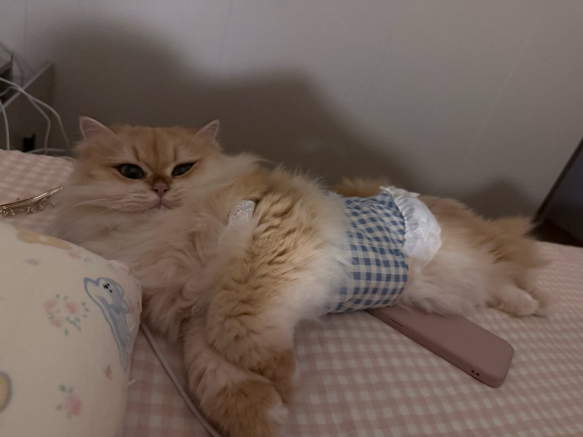 _SHE_YE_ tweet media