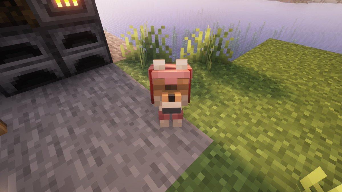 Dapper / Shade 🎩 tweet media