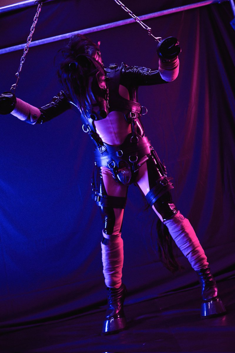 Somebody was so naughty 😈

Gear: Equus-signum.cz
Pony: <a href="/FlySky4242/">Sky (Chicago) ➡️ MIR, MFF</a>
Photo: Pup_lany