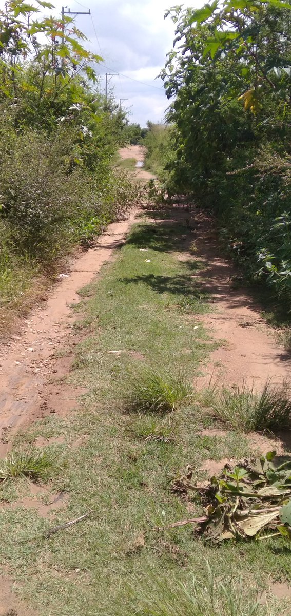 LeyniBox's tweet photo. @Claudiashein una palmadita de atención al presidencia de San Pablo Huixtepec para que haga su trabajo y deje sus pretextos de que "con tequio comunitario" lo va hacer, según "él, no hay recurso ni para el diesel". https://t.co/EgwBQjg5kG