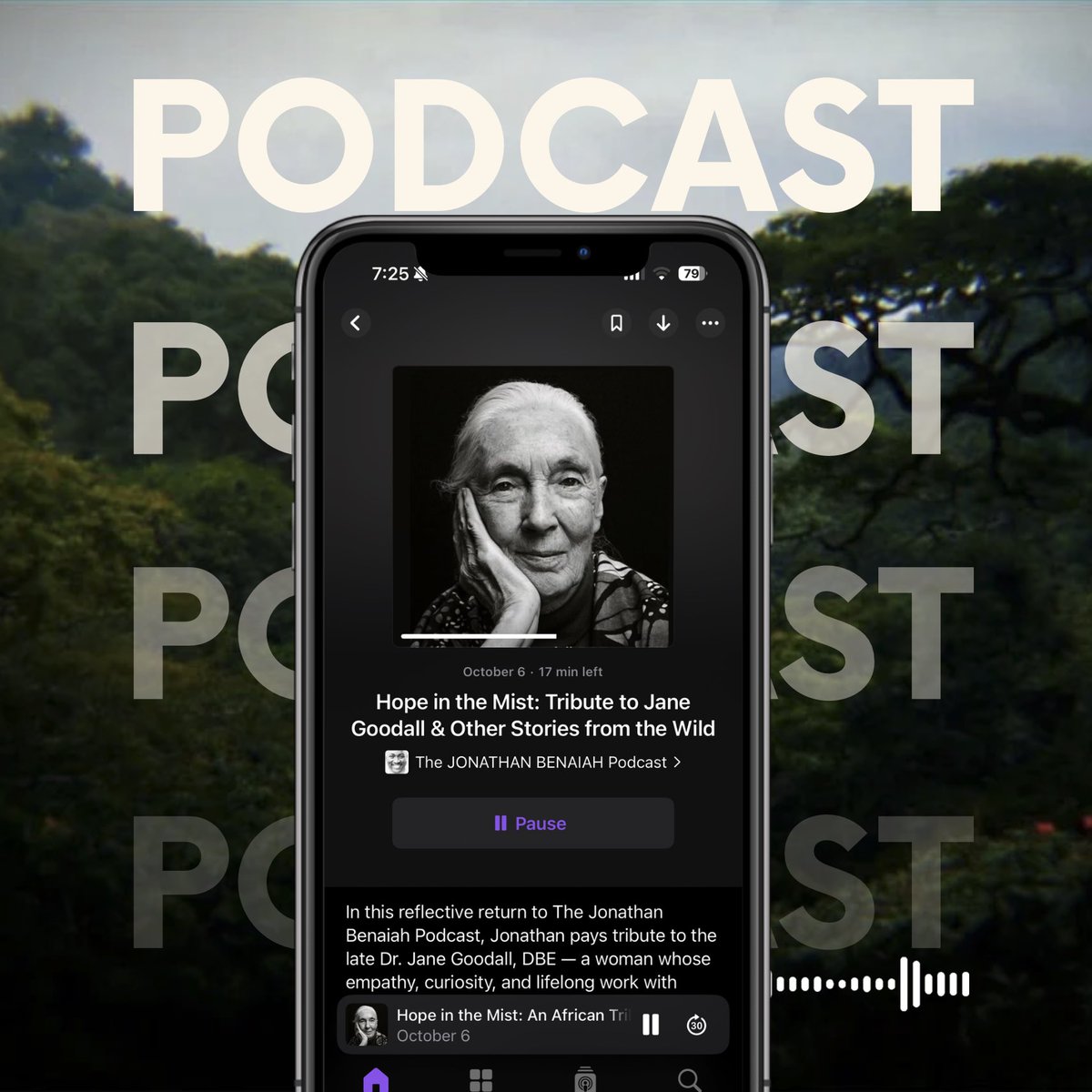 “Hope in the Mist.”

A tribute to Dr. Jane Goodall — and a reflection on a few other stories from the wild.

In this podcast episode, I talk about <a href="/JaneGoodallInst/">Dr. Jane Goodall & the Jane Goodall Institute</a>’s legacy, Uganda’s rhinos preparing to return to Ajai after decades away, and a moment I’ll never forget — filming