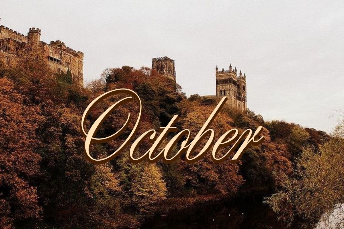 madeoflavenderr's tweet image. 