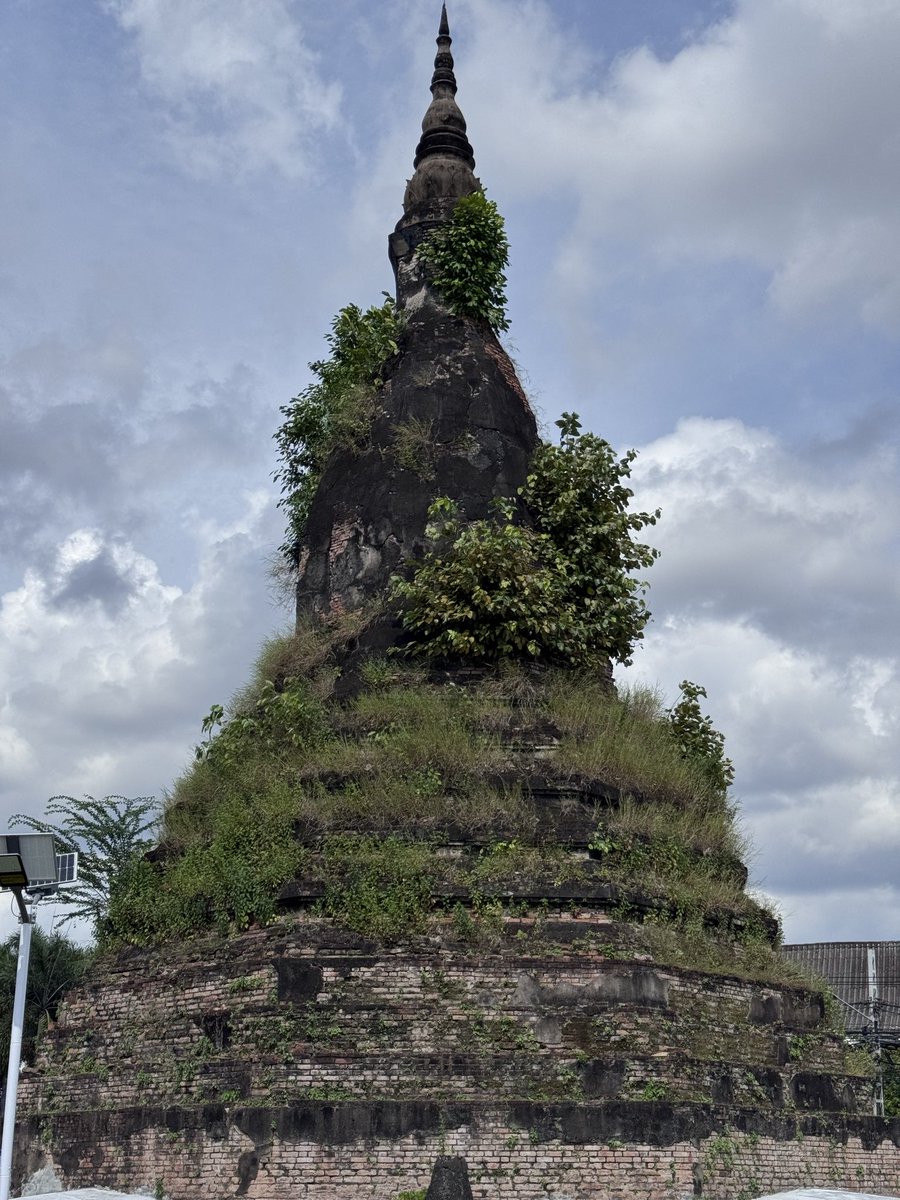 Global Rashid tweet media