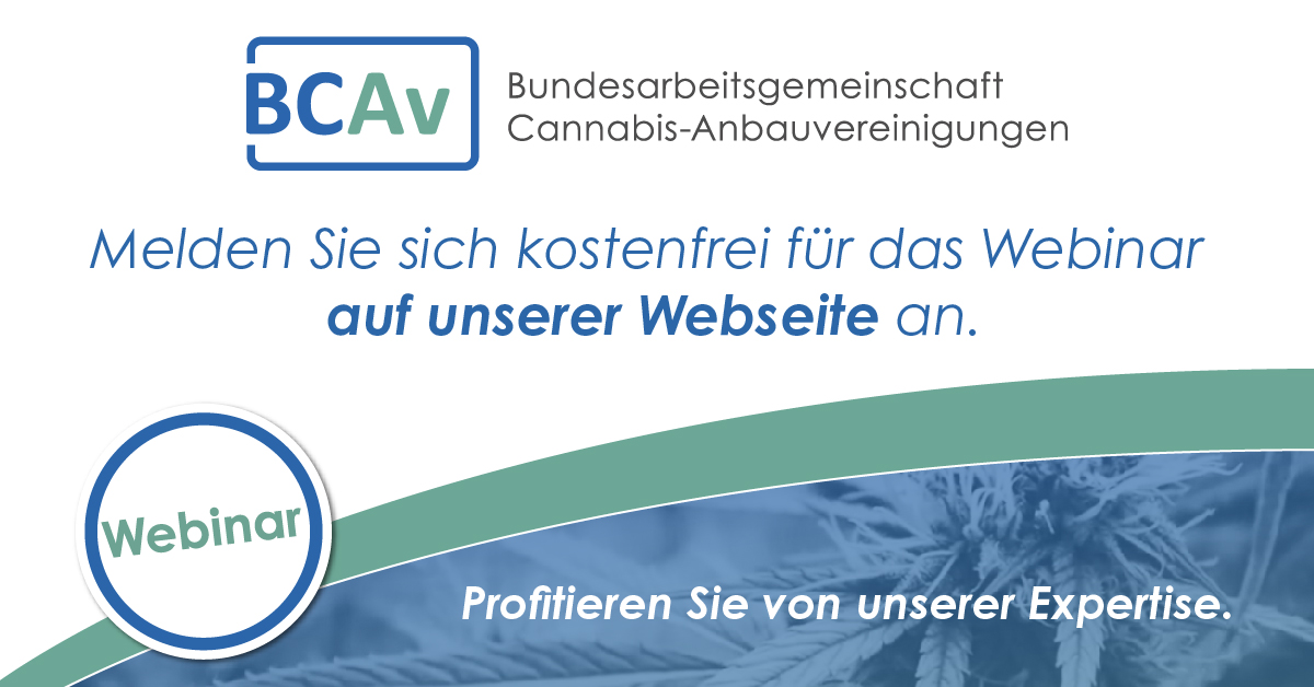 Webinarankündigung: Stecklinge, Jungpflanzen &amp; KCanG: Ein Rechts-Update für Anbauvereinigungen

RA <a href="/KFNplus/">KFN+</a> berichtet uns von den Untiefen der Stecklings-Rechtslage. Wer darf anbauen, verkaufen und kaufen?

09.10.2025 - 19:30 Uhr - Kostenlose Anmeldung: us06web.zoom.us/meeting/regist…