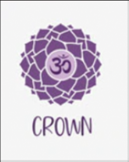 The Ascension Guide tweet media