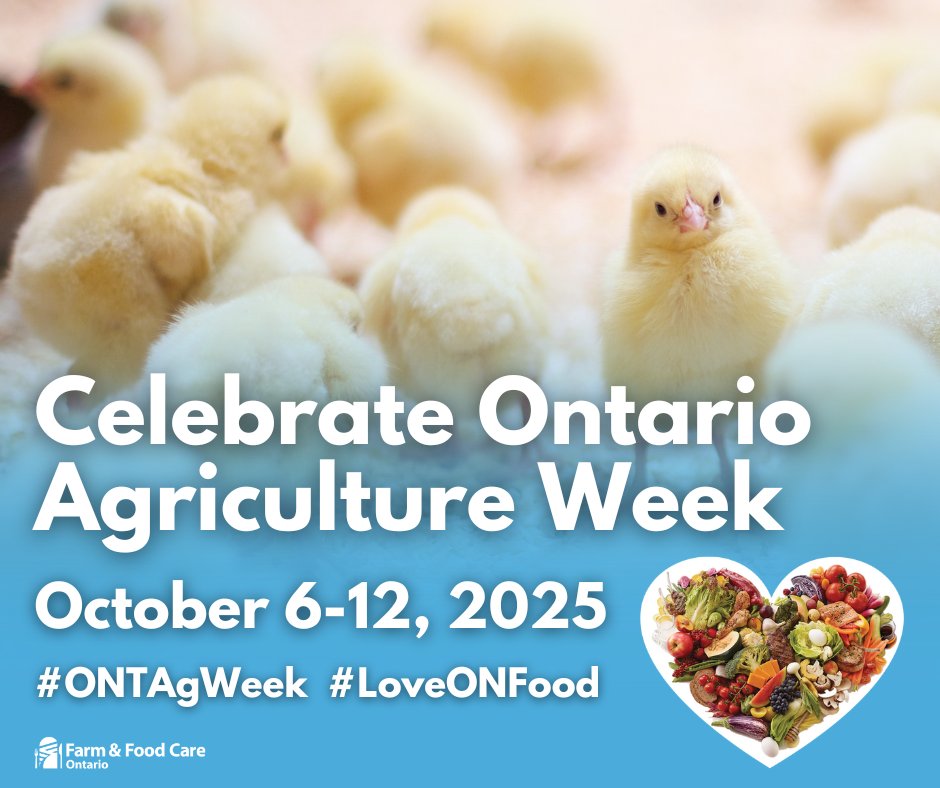 New-Life Mills tweet media