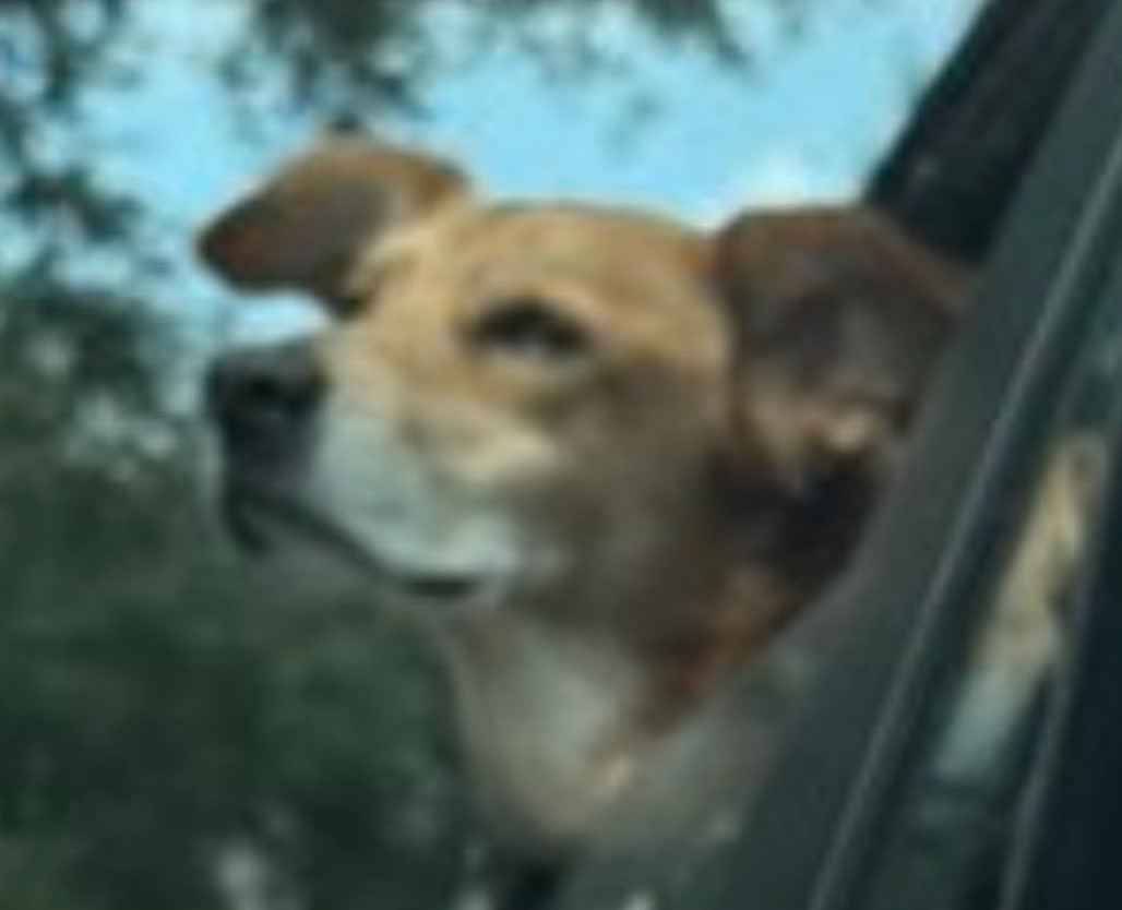 Wheels (@xsouder) on Twitter photo 