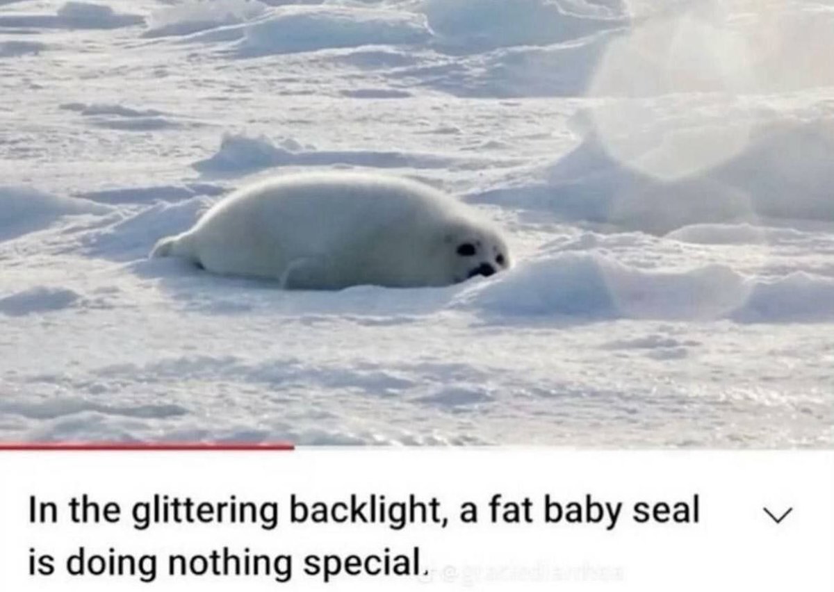 Nickro (@nickro666) on Twitter photo 