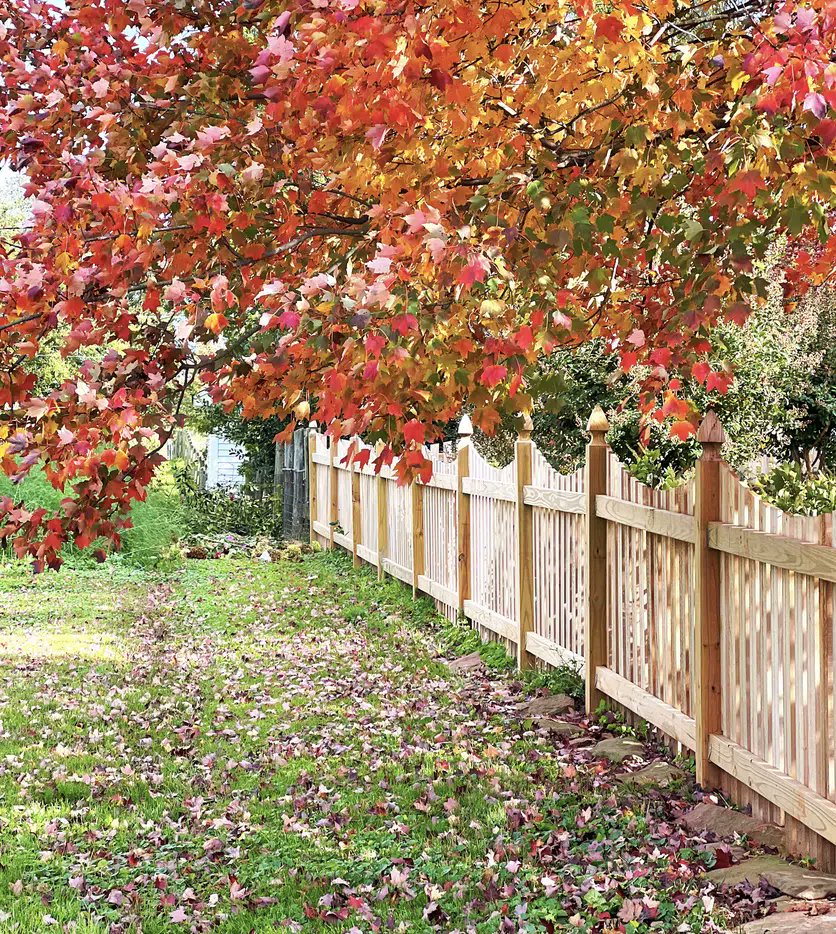 atclandscape's tweet image. Cold-Season Care: Pruning Tips to Keep Your Landscape Thriving: bit.ly/4mRYugT #pruningtips #coquitlam #portmoody #portcoquitlam #pittmeadows