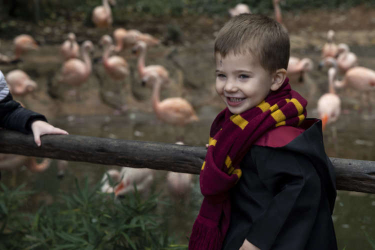 Boo at the Zoo, presented by Georgia Natural Gas, is back for 2 magical weekends in October. Enjoy treats, characters, games, crafts, classic photo-ops, and more, in the home of all your favorite wildlife.Tickets are on sale now@zooatl
Tickets here: bit.ly/3IyRh7p