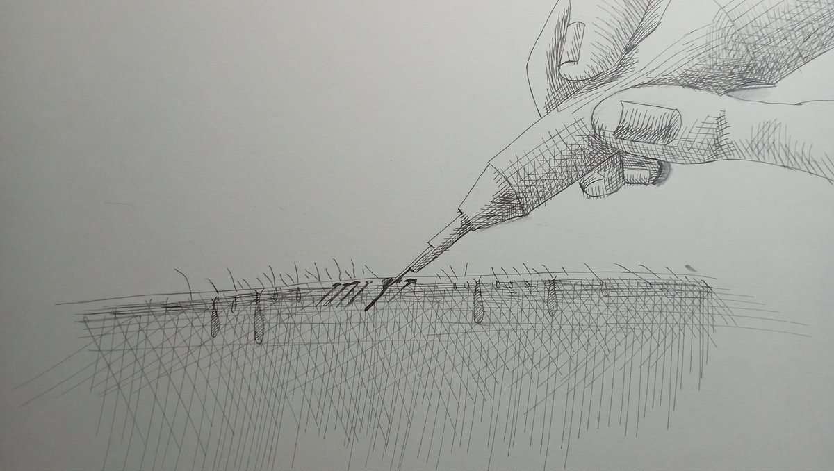 SIDsUnderPlanet's tweet photo. Inktober 2025 day 6
Pierce - проткнуть, проколоть
#inktober2025 #inktober2025day6
#art
#callenge https://t.co/vQLJIxHp3f