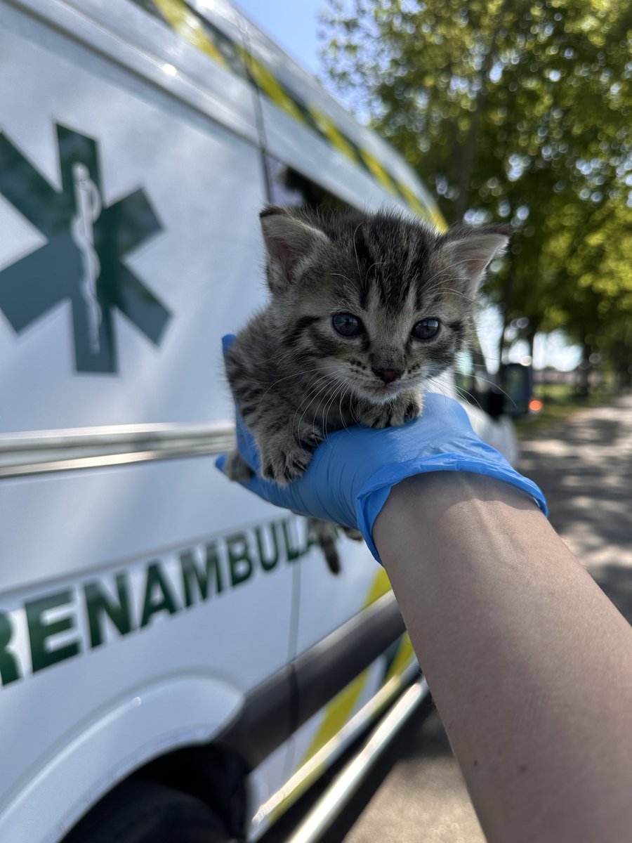 Nog een paar uurtjes en dan stopt de verdubbelaar van <a href="/DierenLot/">Stichting DierenLot</a> voor onze collectebus. 

Wil jij nog dieren steunen en jouw donatie verdubbelen? Doneer dan nog voor 12 uur op dierenlot.digicollect.nl/stichting-dier…

#Dierenambulance #Zwolle #Helponsredden #Doneren #Dierenhulp #Samenvoordieren