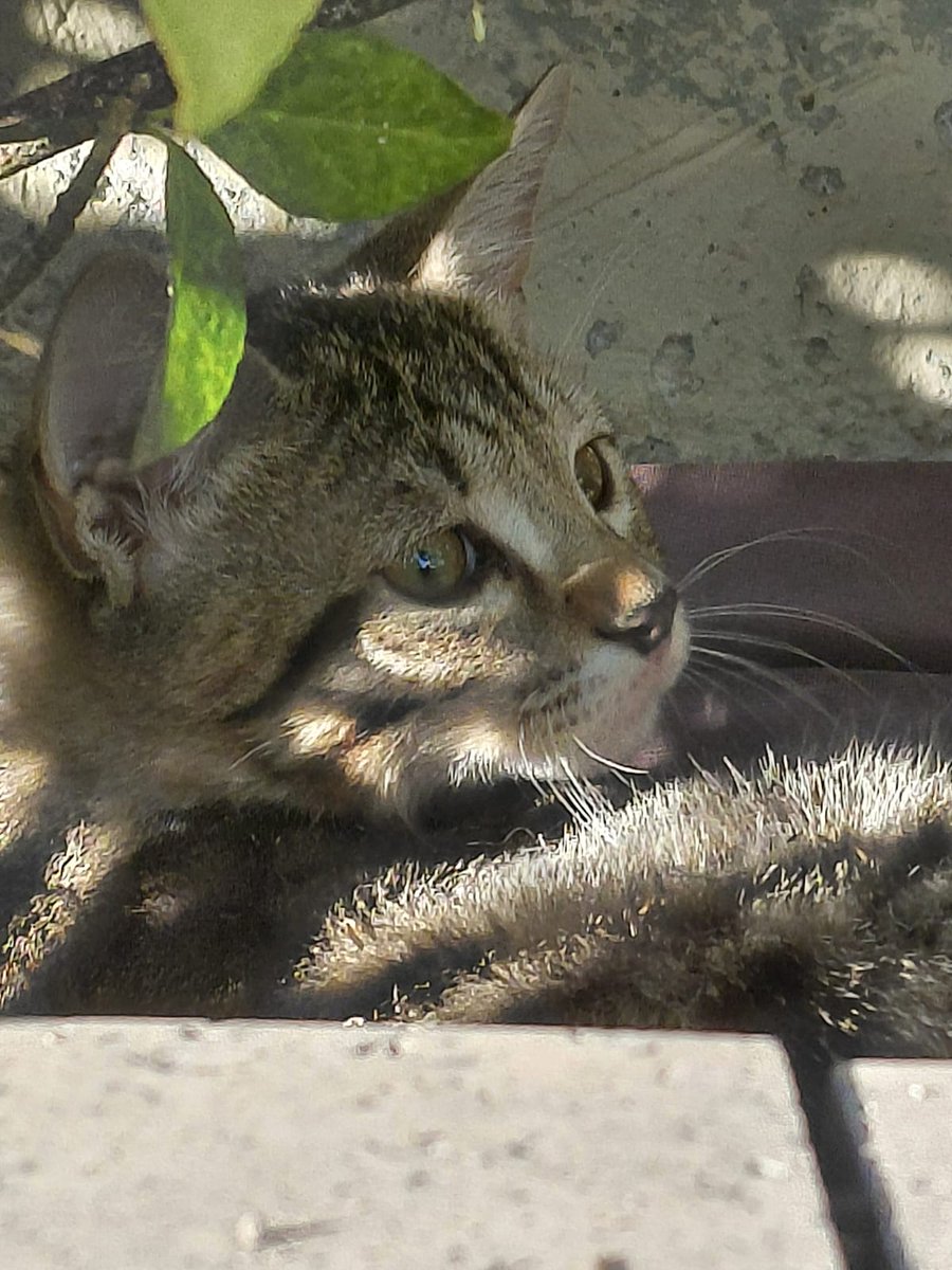 ⌛️⌛️⌛️⌛️⌛️⌛️