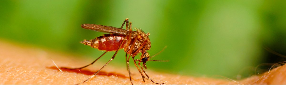 FL Health Collier tweet media