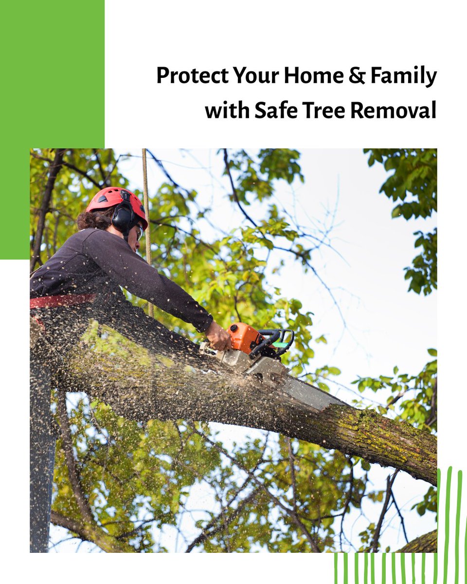 SmithWorksTree's tweet image. Overgrown, leaning, or damaged trees threaten your property and loved ones. Trust Smith Works Tree Service for safe, efficient tree removal in Nashville. Contact us for a free assessment: smithworkstreeservicenashvilletn.com 

#TreeRemovalExperts #SmithWorksTreeSer