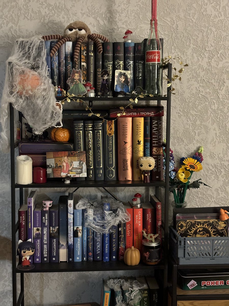 🕷️ 📚 🕸️