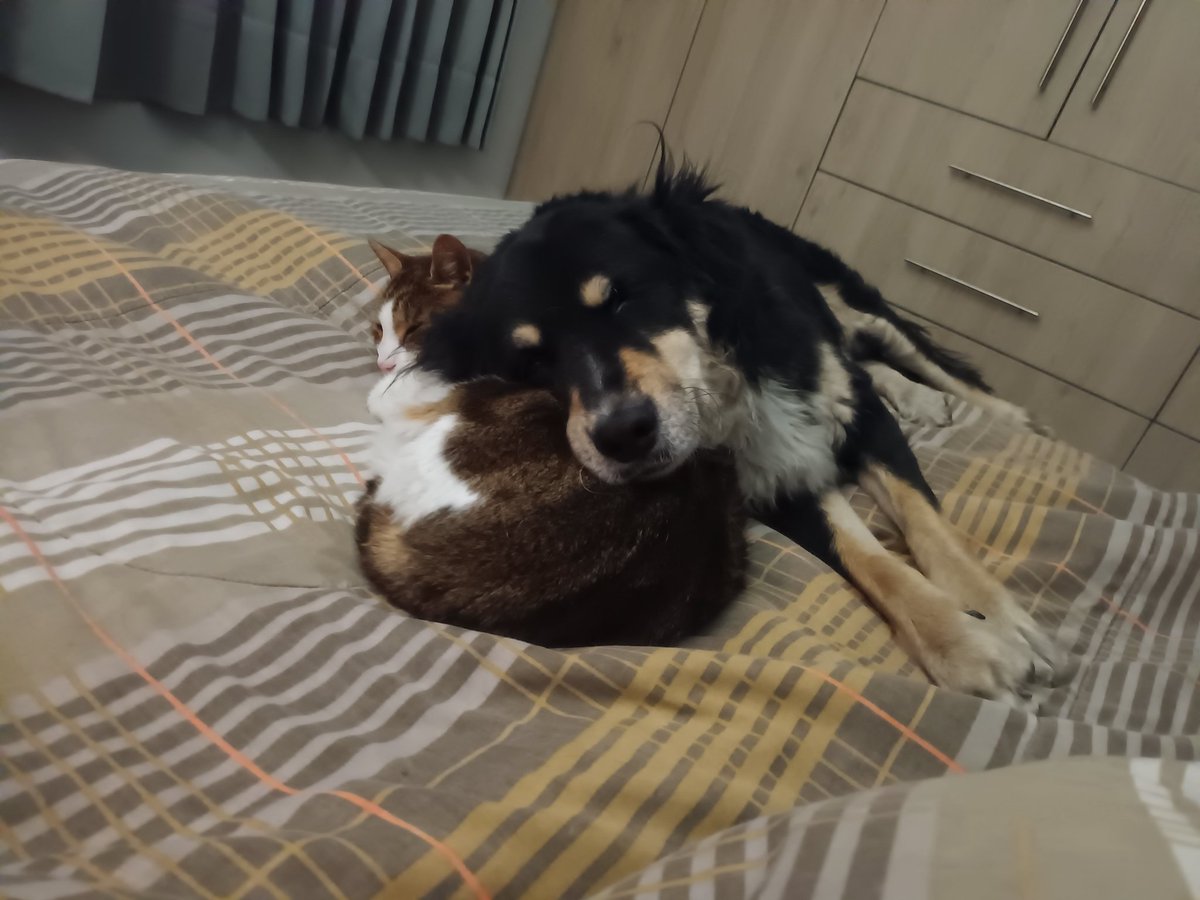 Es lunes y no queremos ni saberlo