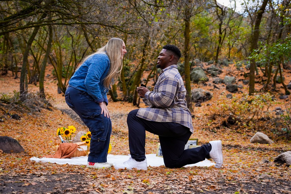 T A R ❕ Q tweet media