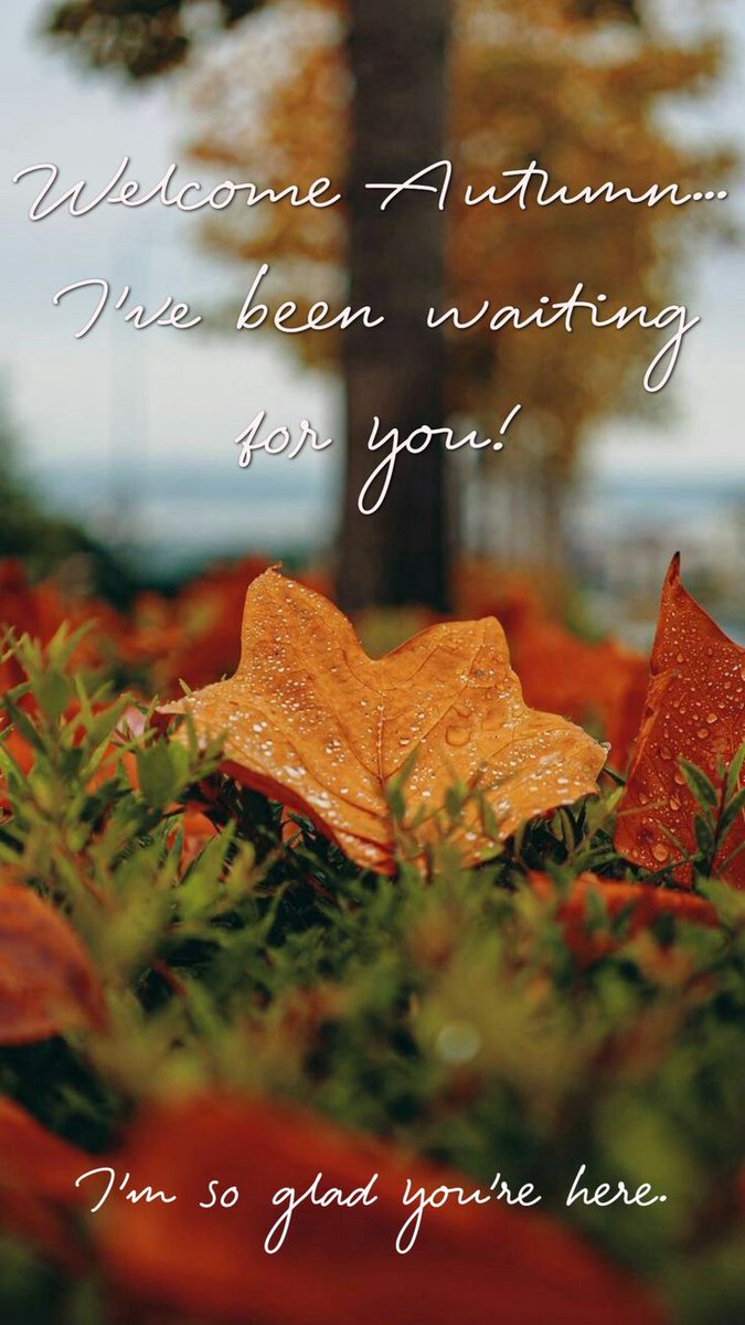 SO HAPPY  FOR YOU🍂🍁🍂🍁🍂