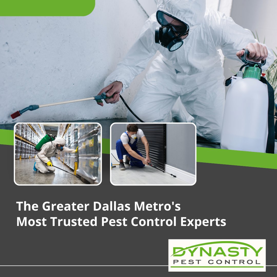 DynastyPest's tweet image. Since 2010, Dynasty Pest Control has been happy to offer safe, effective, and personalized pest control services to the Greater Dallas Metro area.

🛡️ Need a pest control service in DFW that you can trust? Come see us today at dynastypest.com 

#pestcontrolservices