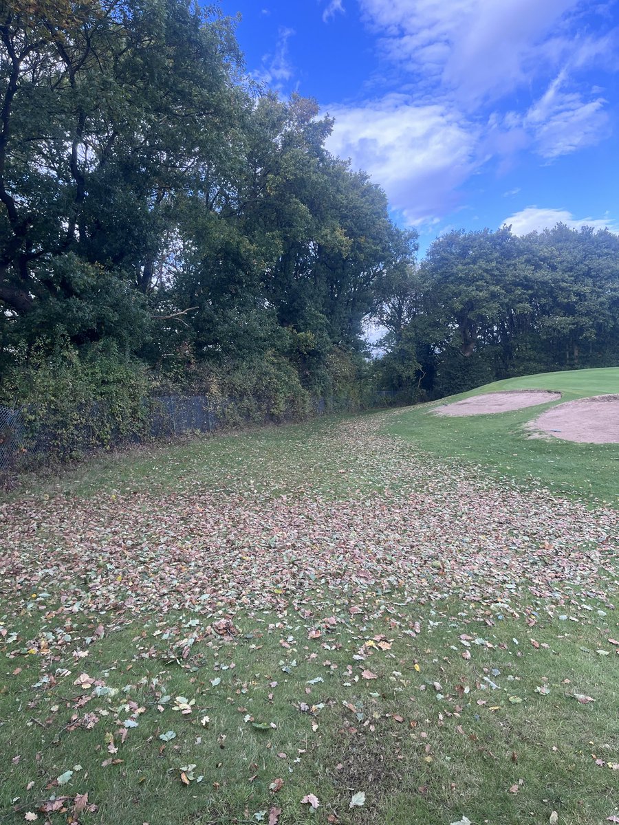 RyFiOwl's tweet image. Busy day, glorious October sunshine ☀️ verti drain to 250mm ➡️ double roll ➡️ blow and reset pins ⛳️ cracking on with tidying up after storm Amy at the weekend 🌬️