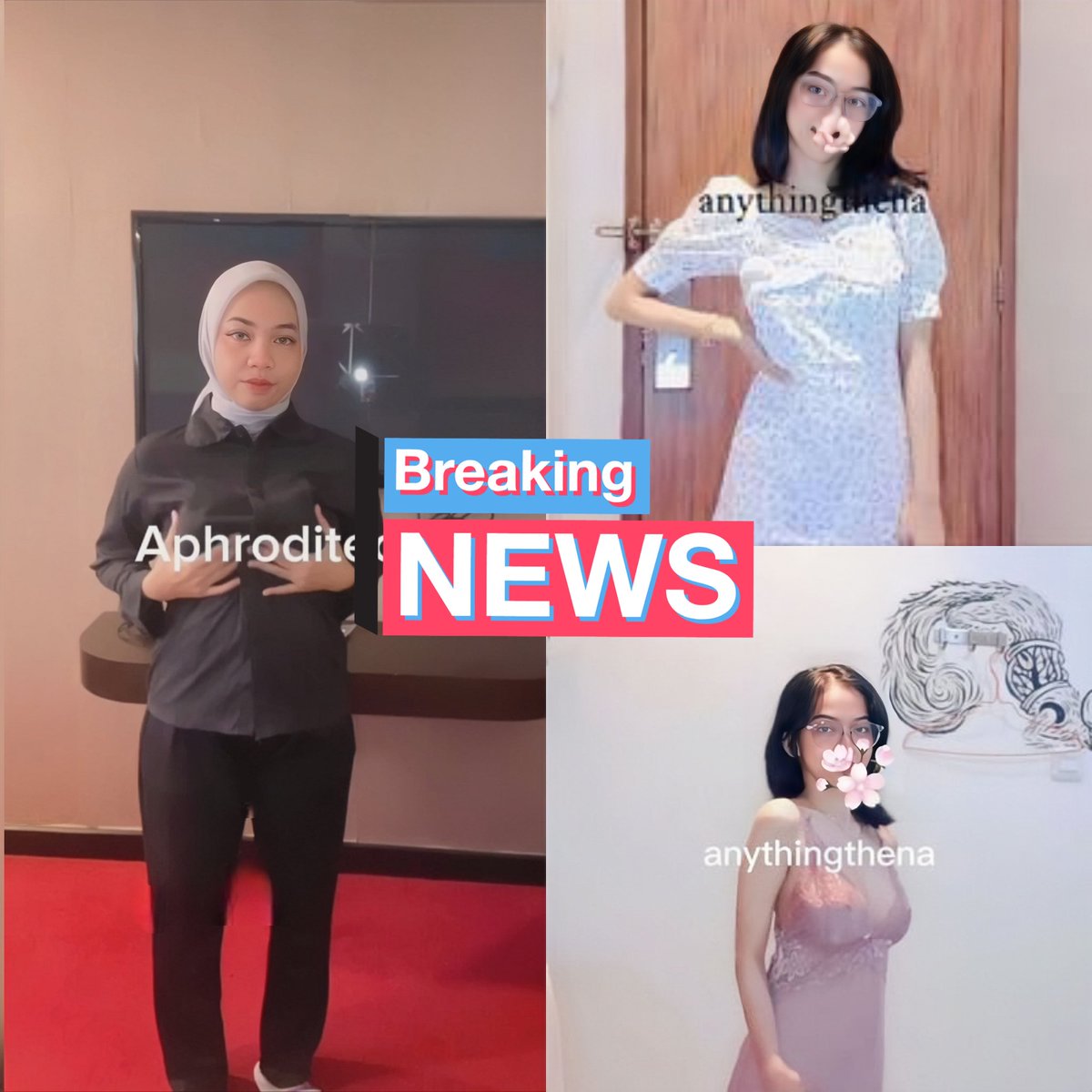 Tigerbrake @Tigerbrake1 - Twitter Profile | Sotwe