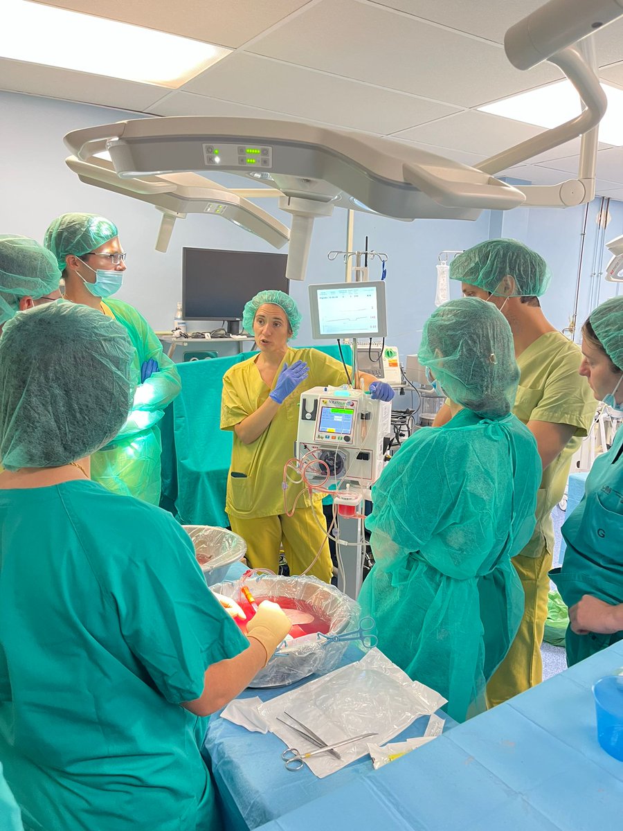 BridgetoLifeLTD's tweet photo. A big thank you to Hospital Gregorio Marañón for hosting the II Curso de Donación Multiorgánica y Perfusión Hipotérmica 2025. #BridgetoLife were there with the VitaSmart™ to deliver hands-on training in the HOPE technique.

The course brought together future surgeons from hospitals across Spain, combining theoretical sessions with experimental practice in liver transplantation.

 #PerfusiónHipotérmica #TransplanteHepático