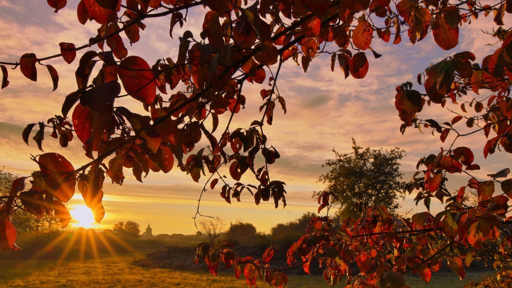 WetterOnline's tweet image. Der Himmel über Bietigheim/Baden zeigte sich am  Morgen des 4. Oktober 2025 in leuchtenden Rot- und Orangetönen – ein echtes Farbspektakel. Die ersten Sonnenstrahlen tauchten Landschaft und Wolken in ein warmes, goldenes Licht. 

📷 Klaus Hammer 

#bietigheim #baden #morgenrot
