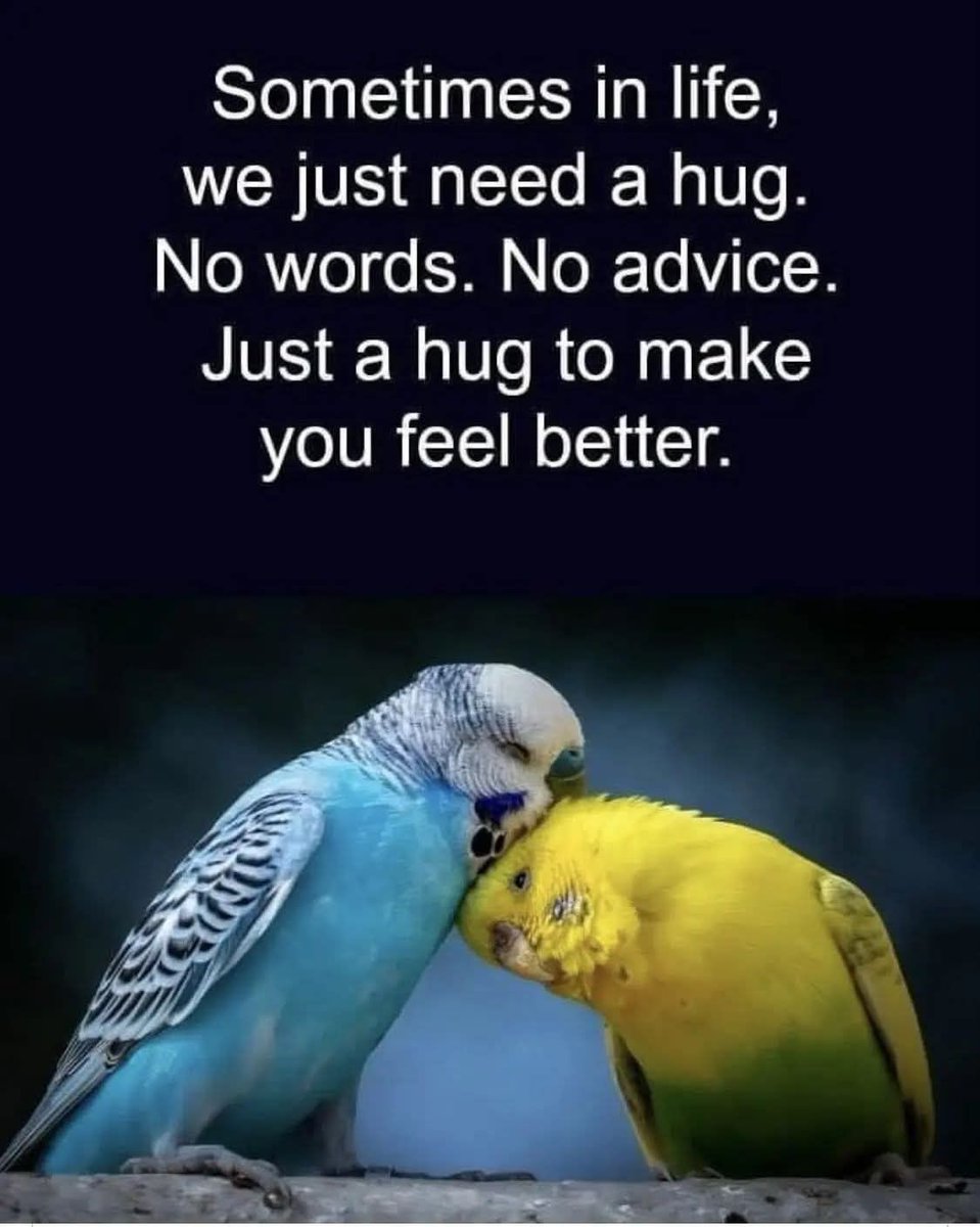 Help A Teacher tweet media