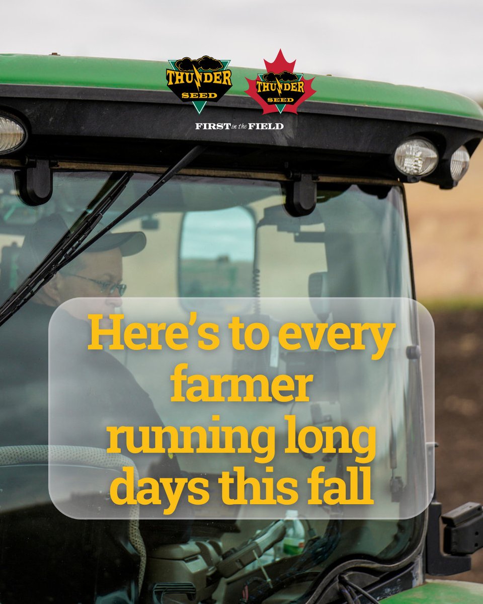 Harvest isn’t just work. It’s late nights, full thermoses, and the satisfaction of seeing the soil pay you back. Here’s to every farmer running long days this fall — we’re right there with you. 🚜🌾

#Harvest2025 #ThunderSeed #FarmLife #MidwestAg #CanadianAg #InTheField