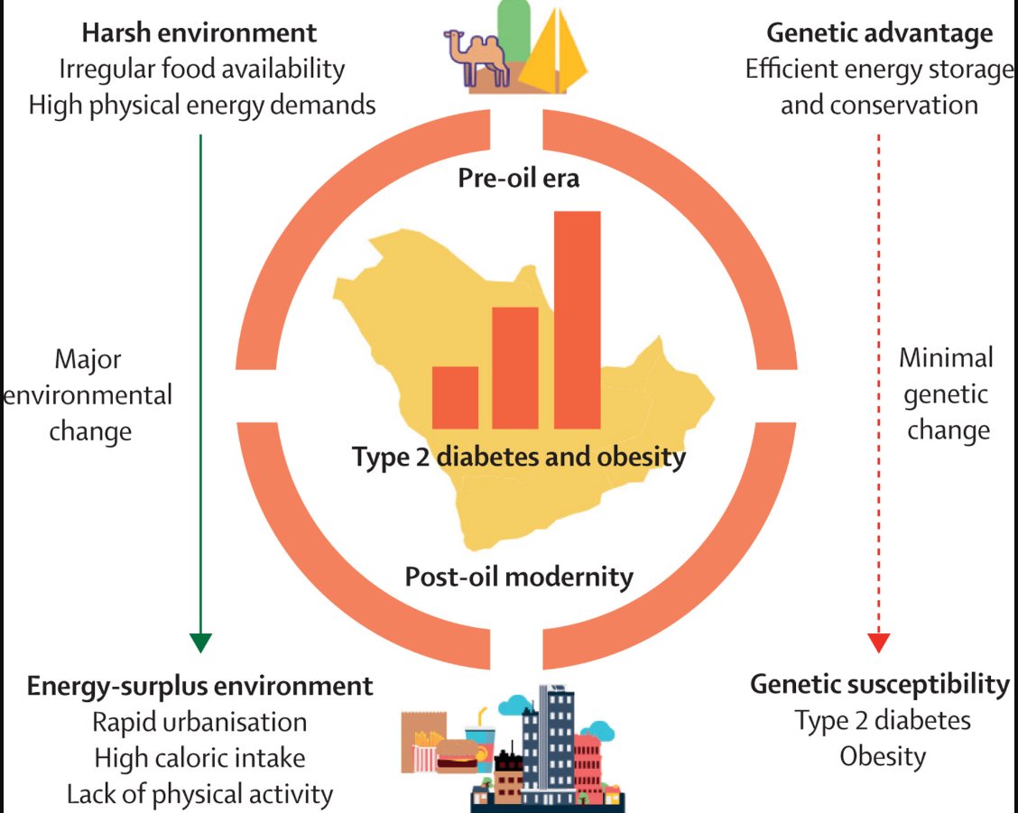 TheLancetEndo's tweet photo. NEW Correspondence: 
The evolutionary basis for type 2 diabetes prevalence in the Arabian Peninsula

"Ancestral adaptations to survive scarcity might now predispose these populations to metabolic disease in an era of abundance"

https://t.co/LyRaRDLE9e

#diabetes #Arabia https://t.co/p61EWBS76Q