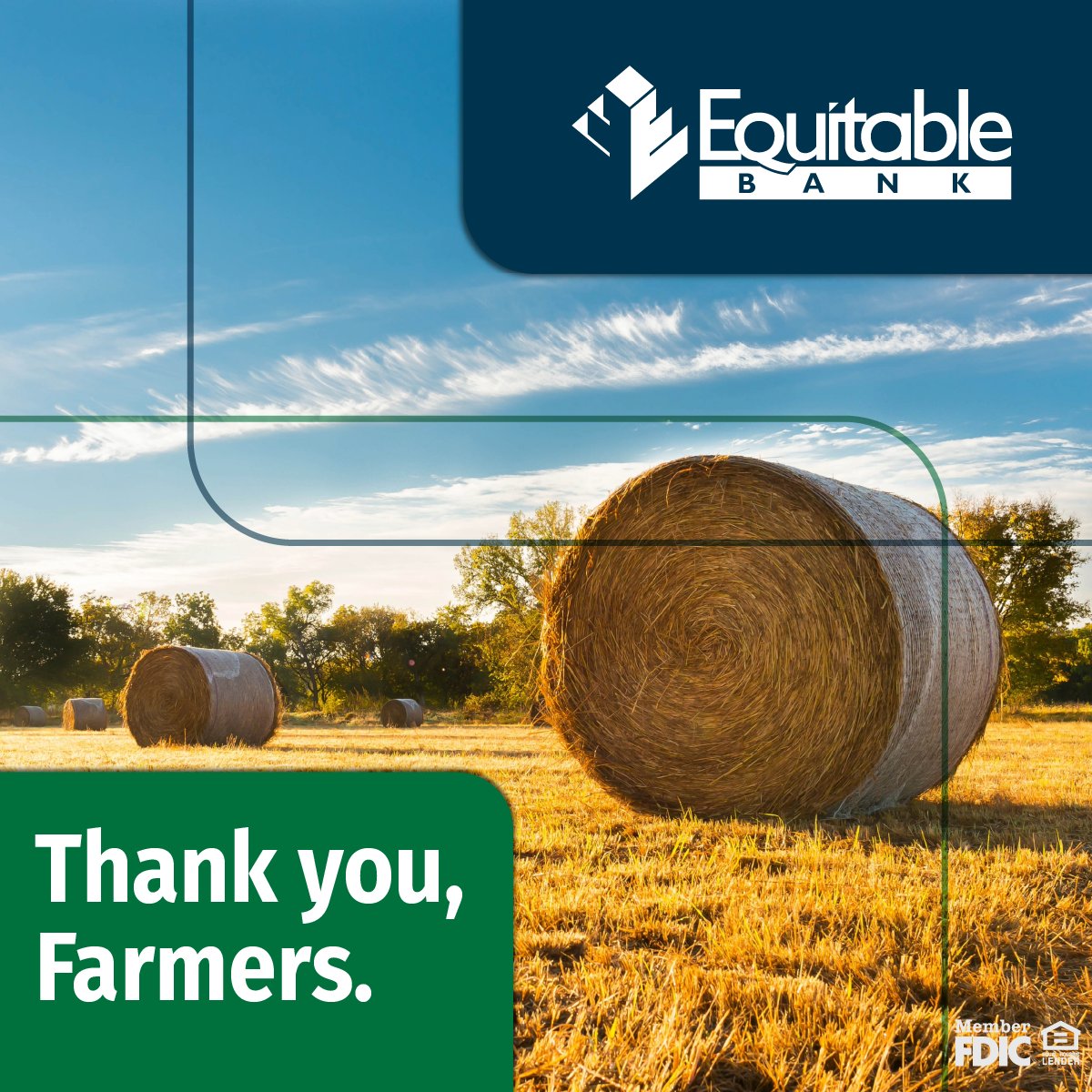 BankEquitable's tweet image. Today, we celebrate the hardworking farmers whose dedication, resilience, and care provide the food and resources our communities depend on. We extend our deepest gratitude to all farmers for the long hours, tough days, and unwavering efforts you put in year after year💚