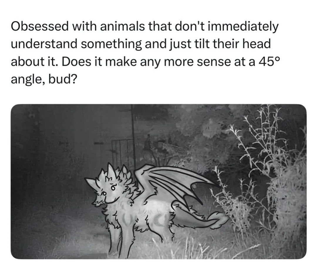 I'm obsessed with cute dragons that tilt their heads <3