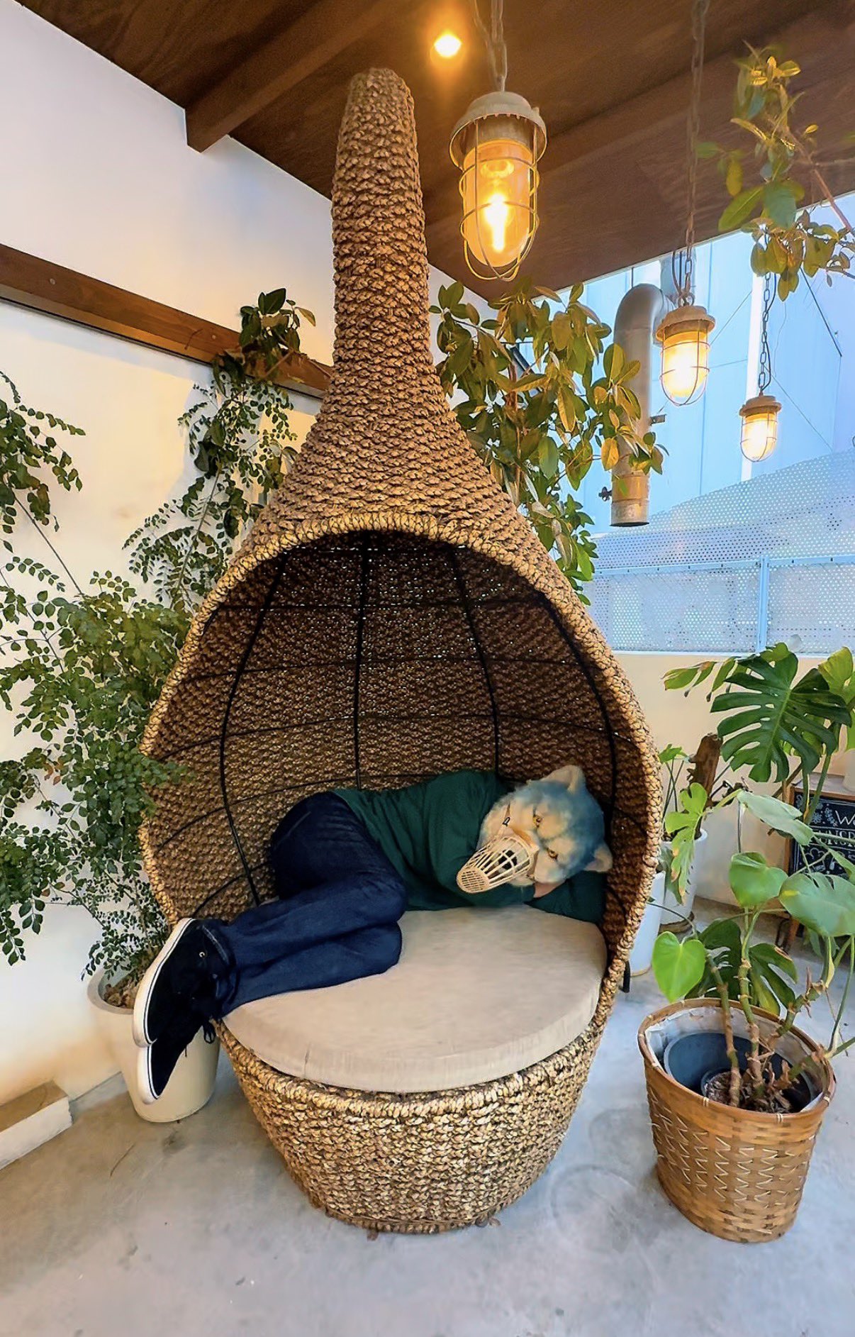 はにわわわ⋆͛*͛ ͙͛⋆͛ᐝ·̩͙オーダー品☽︎‪︎.*·̩͙‬ 🌱はにわ / haniwa🌱🧠🌸 (@ha_ni_w) / X