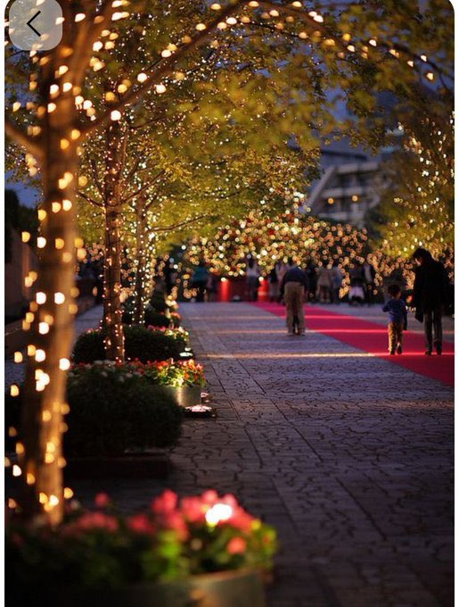 Good night 🌙 X friends