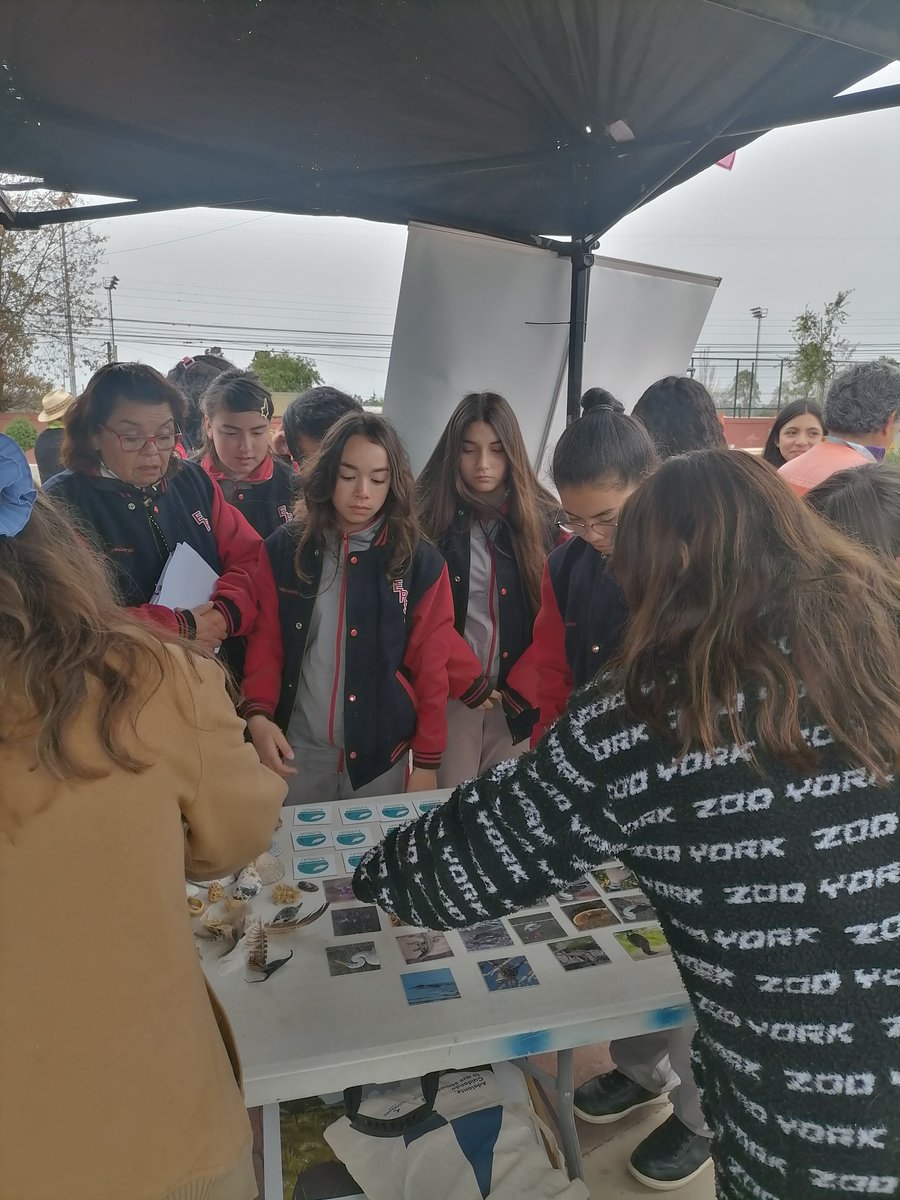 Fundación Kennedy tweet media